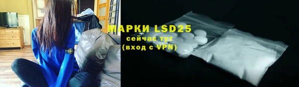 ГАЛЛЮЦИНОГЕННЫЕ ГРИБЫ Михайловка