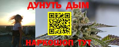 прущие грибы Рыбинск