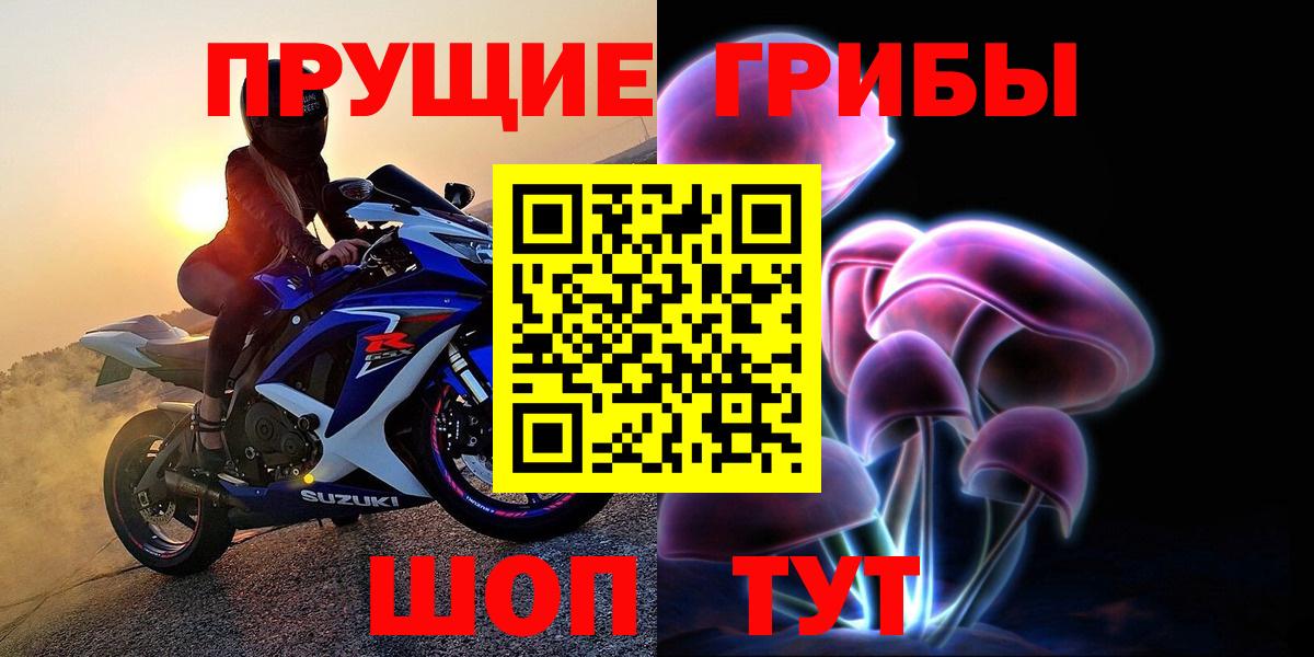 Галлюциногенные грибы Psilocybine cubensis  Вход с VPN  Сочи 